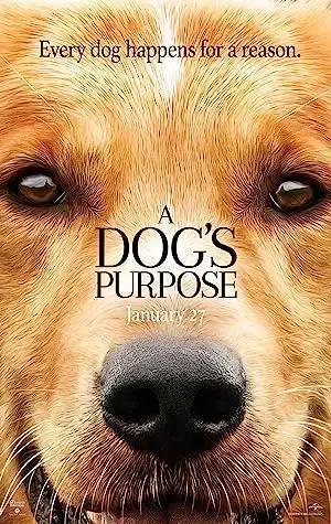 فيلم A Dog's Purpose 2017 مترجم - باهي فيلم